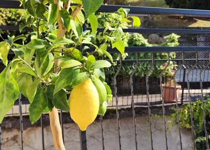 Appartamento Tavernoland - Duck Side Of Côme